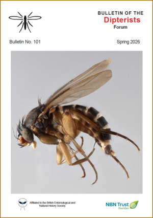 cover of spring 2026 Bulletin
