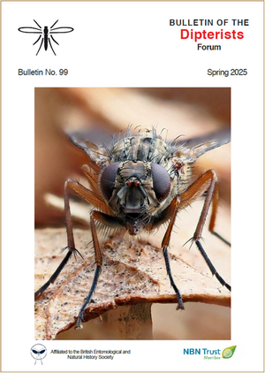 cover of spring 2025 Bulletin