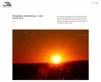 Image for the "Mosquitoes, Mozambigue" sound work