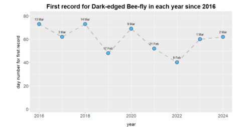 Chart showing the date of the first record for Dark-edged Bee-fly in each year since 2016.