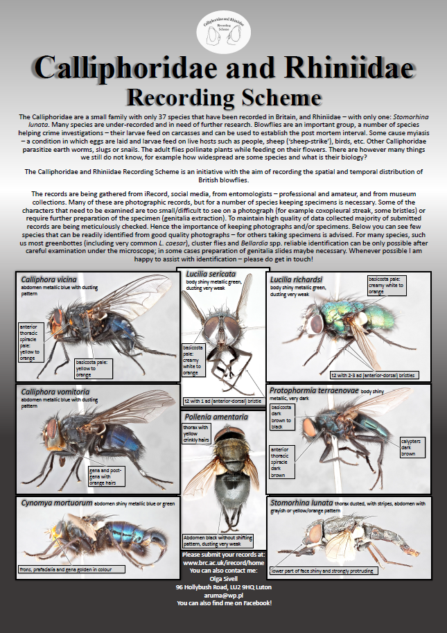 Recording scheme poster