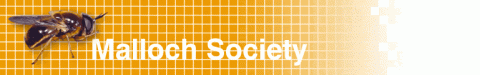 Malloch Society logo Thumbnail