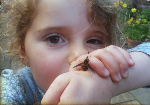 Bee-fly with Chloe Thumbnail