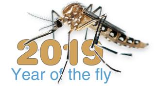 Year of the Fly Thumbnail