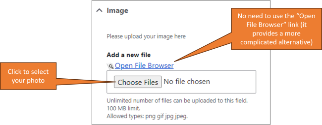 screenshot showing the "Choose files" button