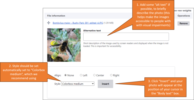 screenshot showing the options for &quot;alt text&quot; and photo thumbnail size