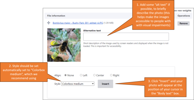 screenshot showing the options for "alt text" and photo thumbnail size