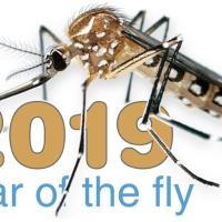 Year of the Fly Thumbnail