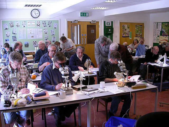 DF workshop 2007